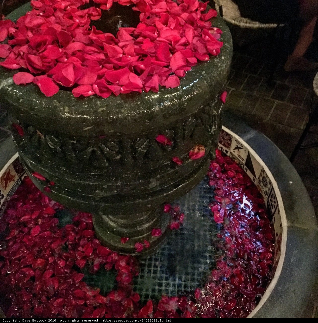 Red Petals Sprinkle Around Fountain