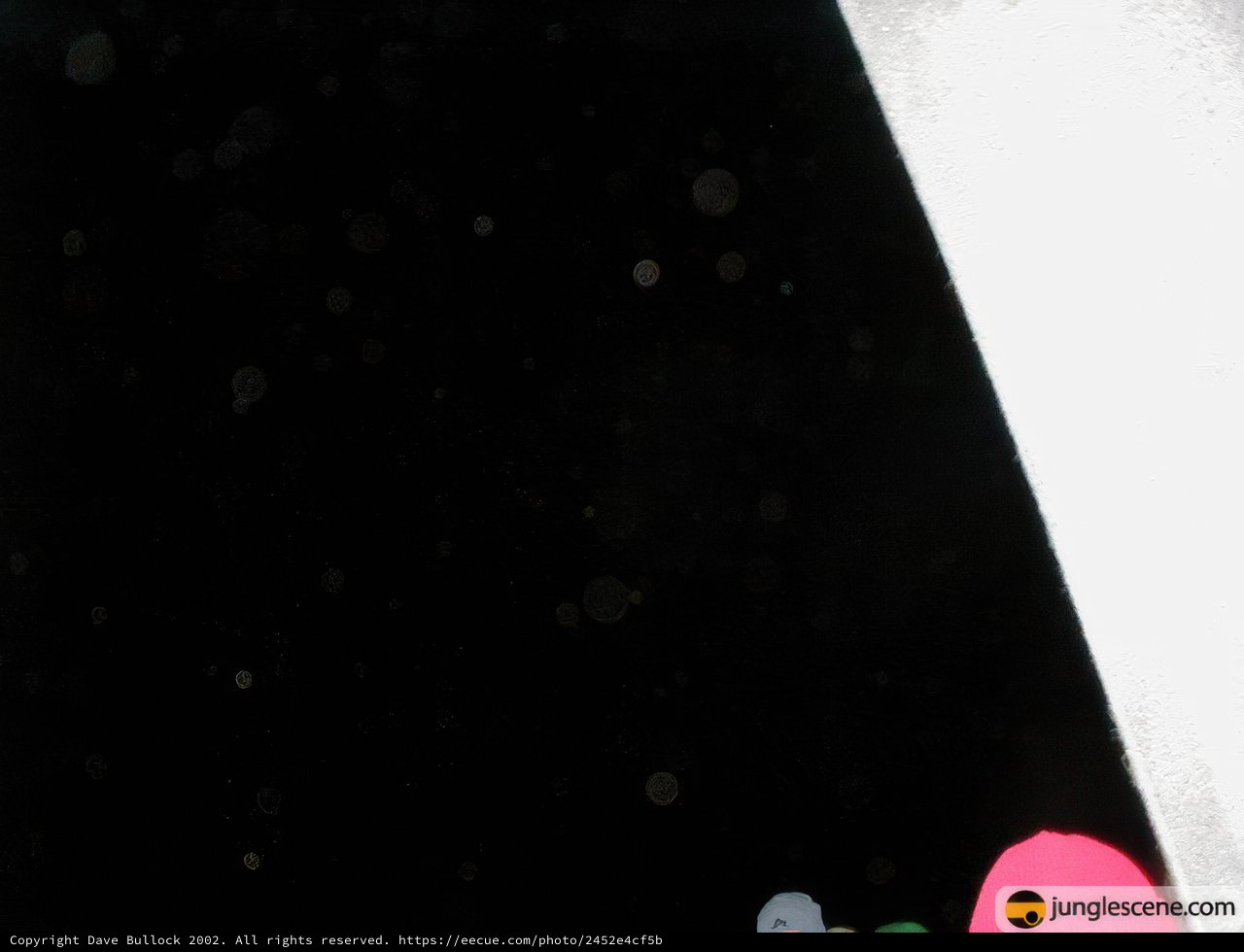 Window to the Starry Night