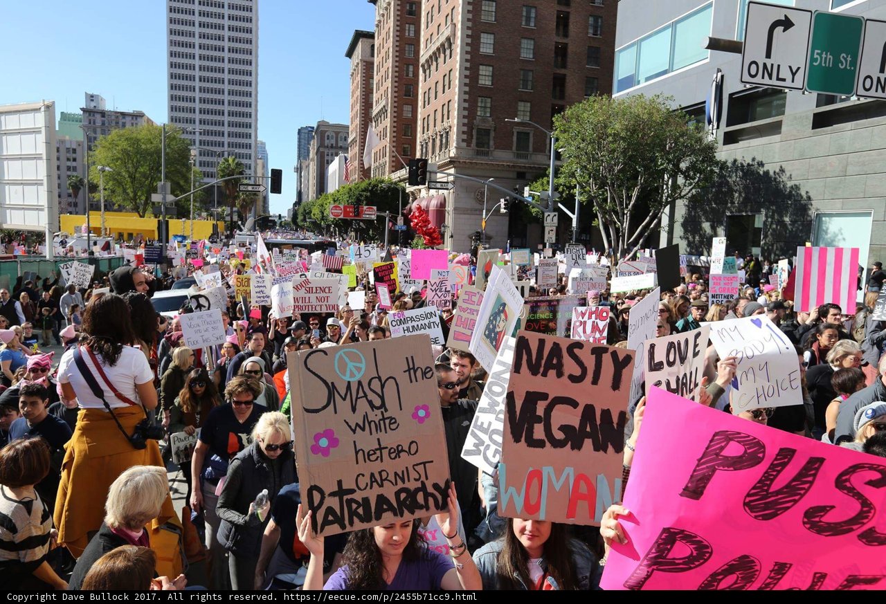 Protest Parade in LA