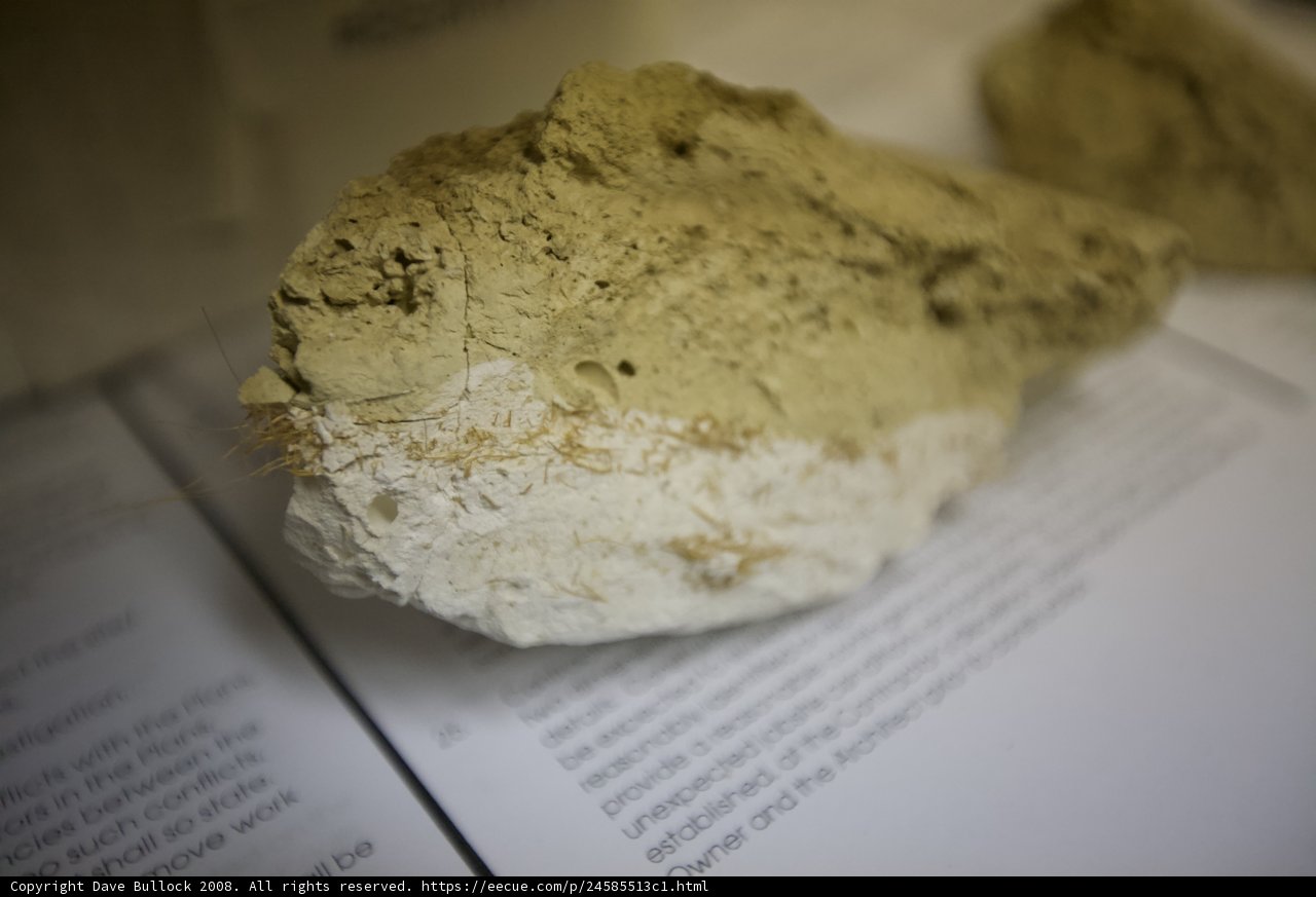 Documentation on a rocky surface