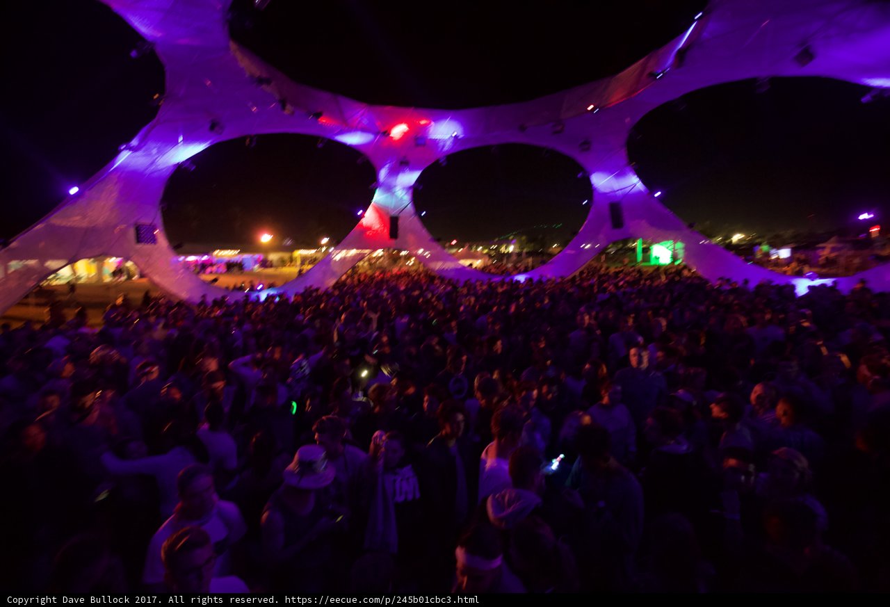 Electric Nights at Coachella