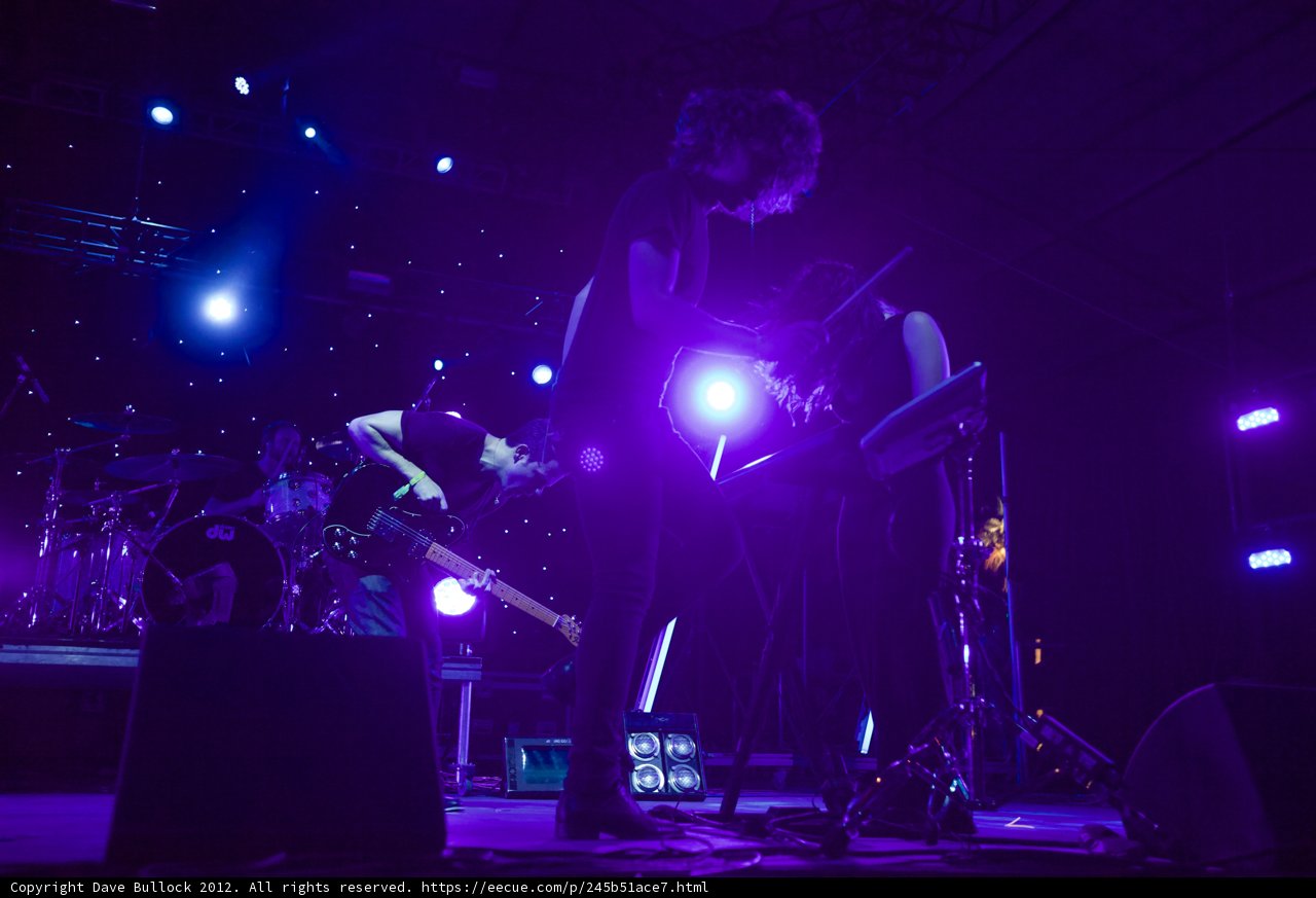 Rocking Out Under Purple Lights