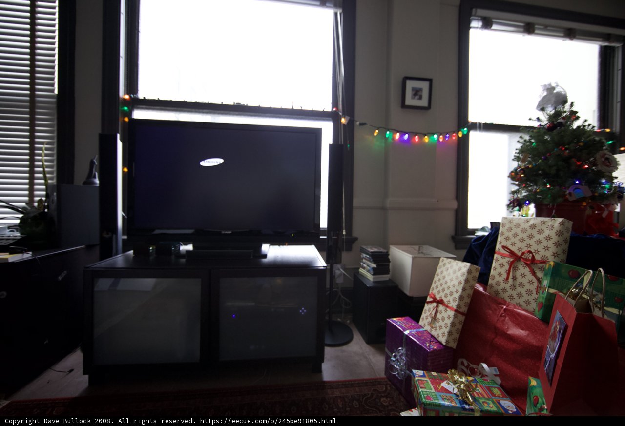 Christmas Morning in the Living Room
