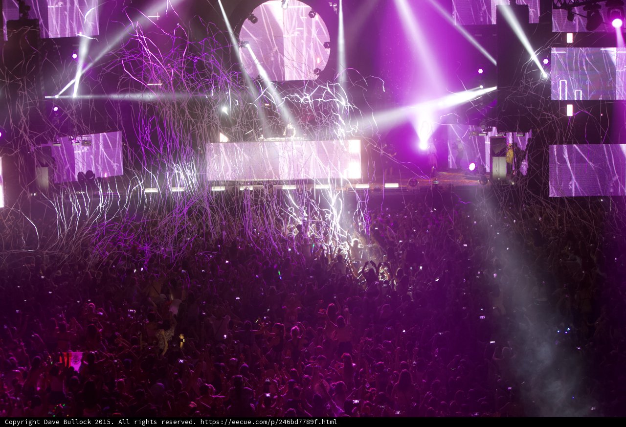 Purple Haze at Coachella