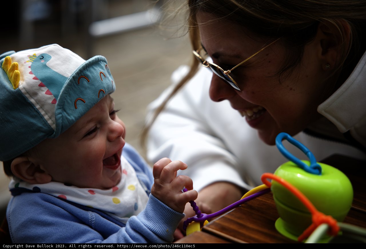Joyful Moments in Tiburon