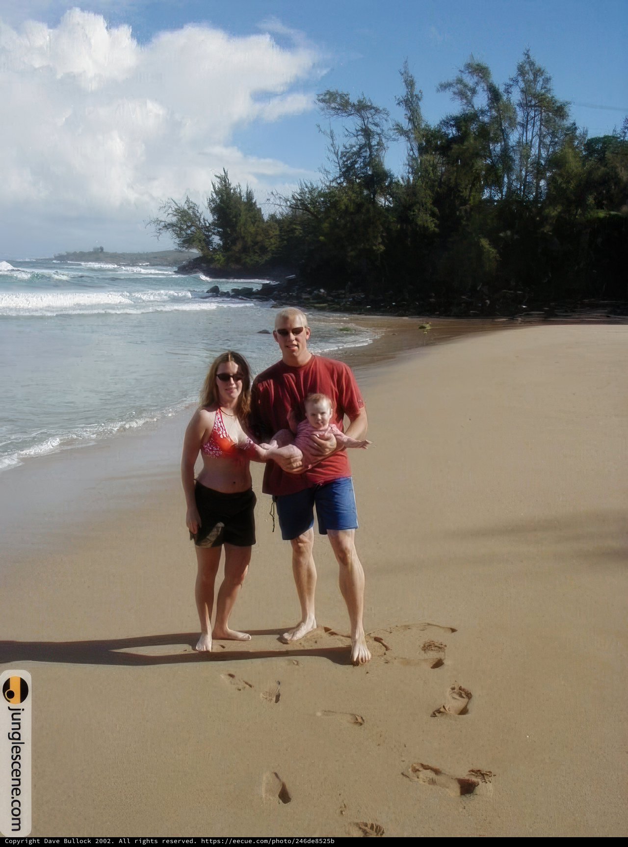 Family Fun on the Hawaiian Shoreline