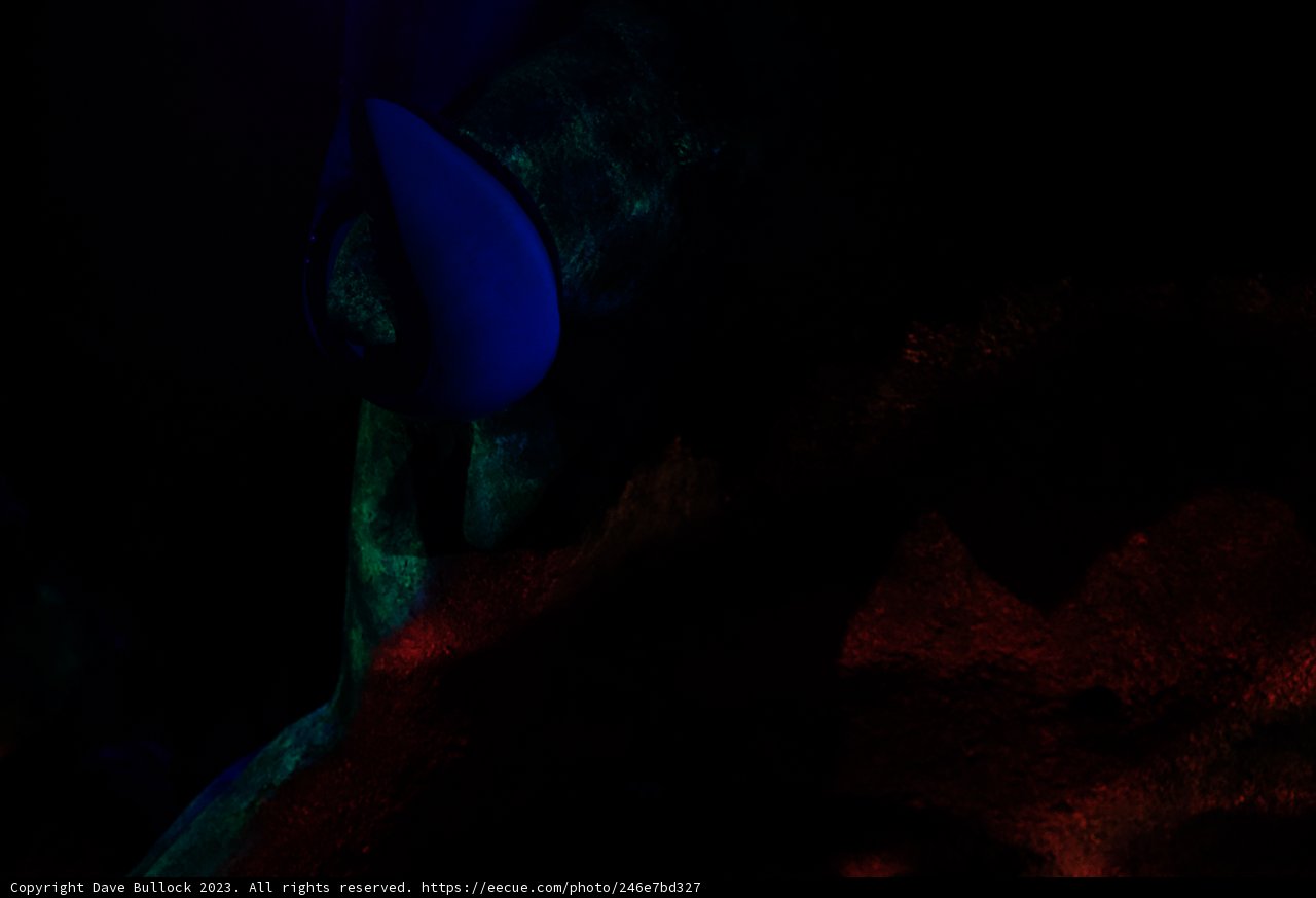 Magical Underwater Encounter