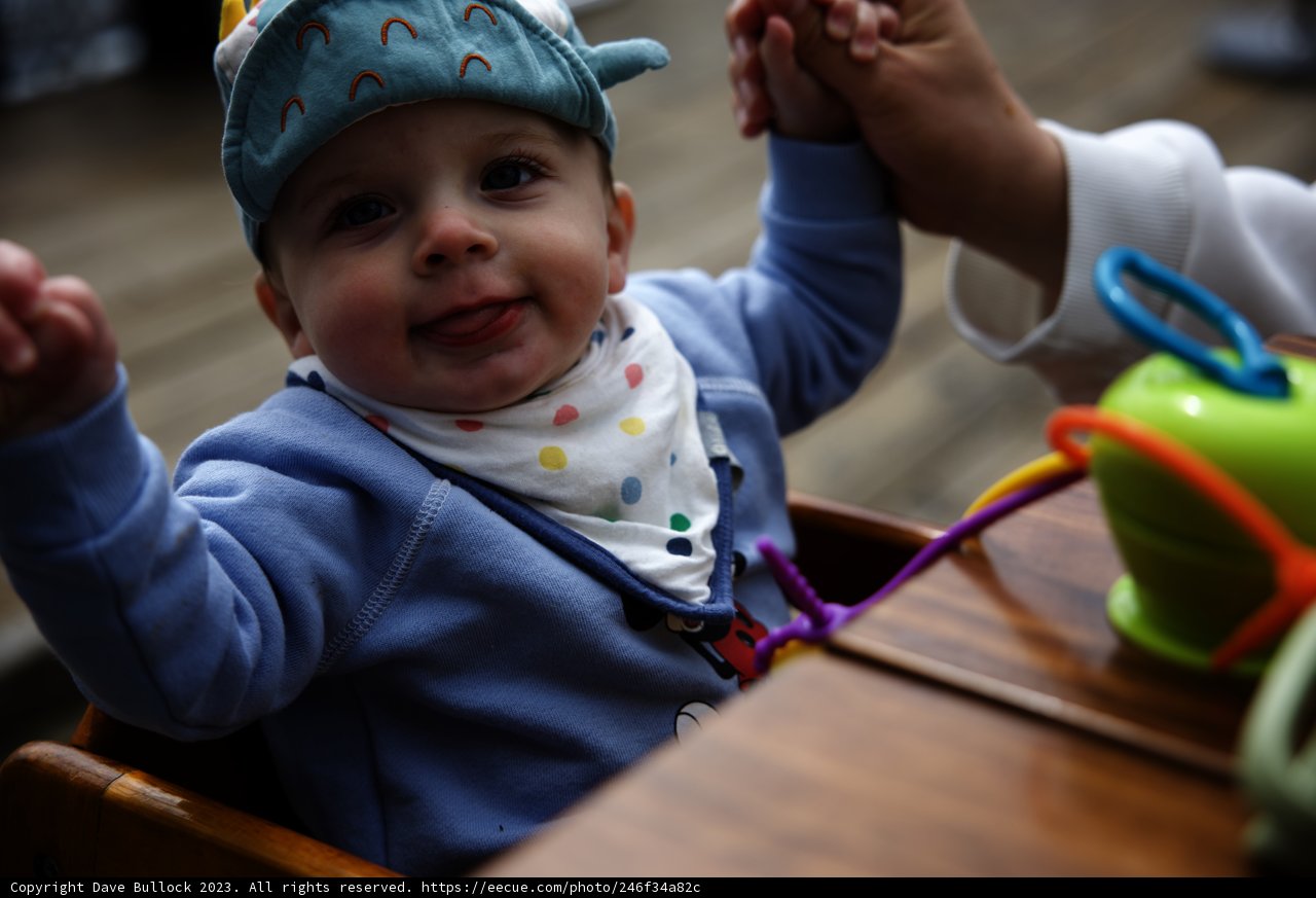 Adorable Moments in Tiburon