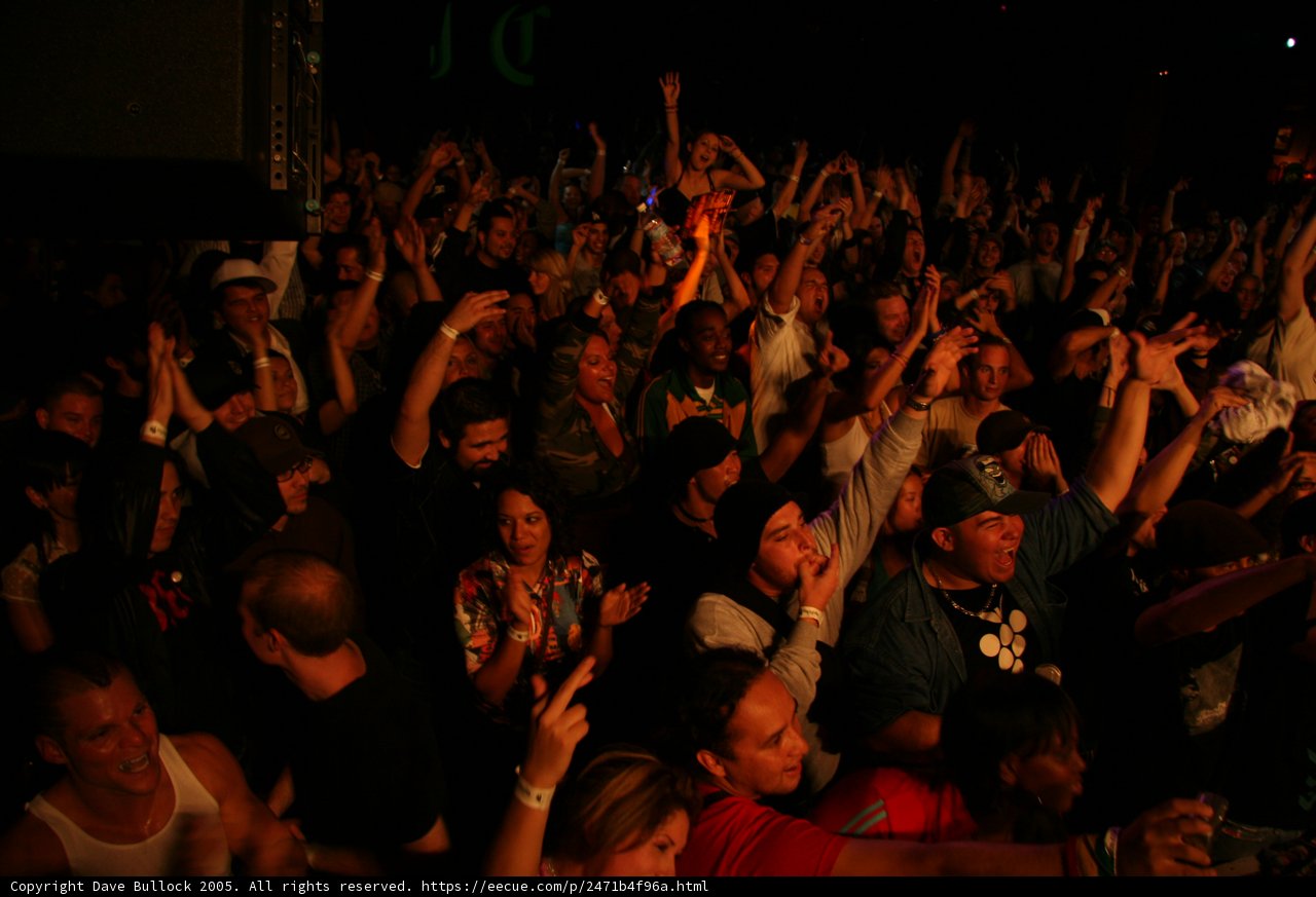 Urban Nightlife Concert Crowd