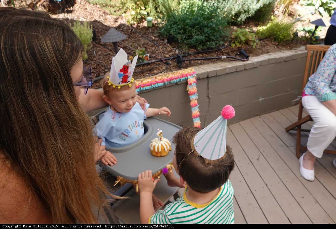 A Joyous First Birthday Celebration