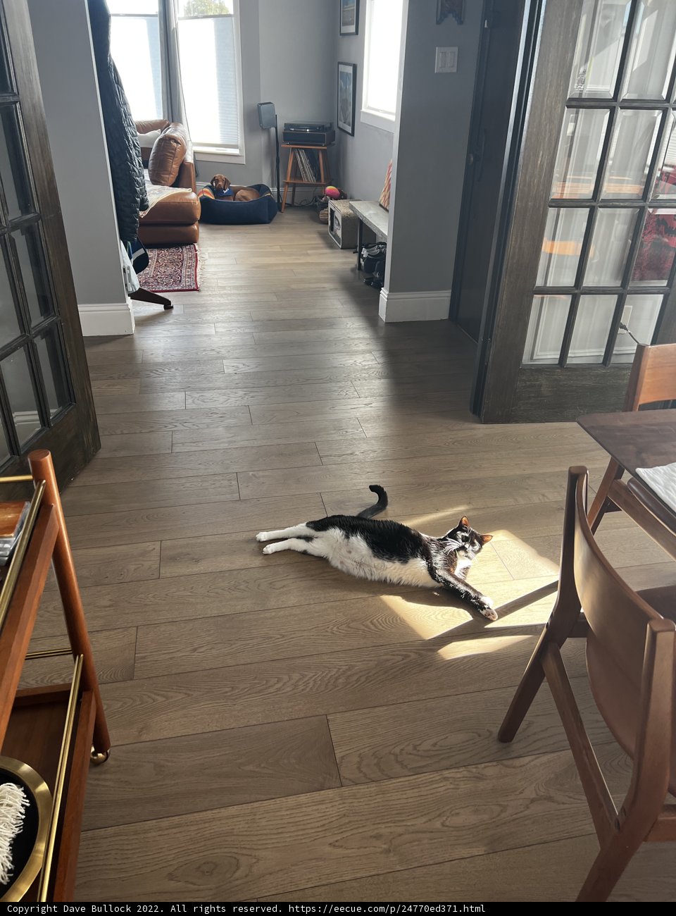 Furry Floor Decor