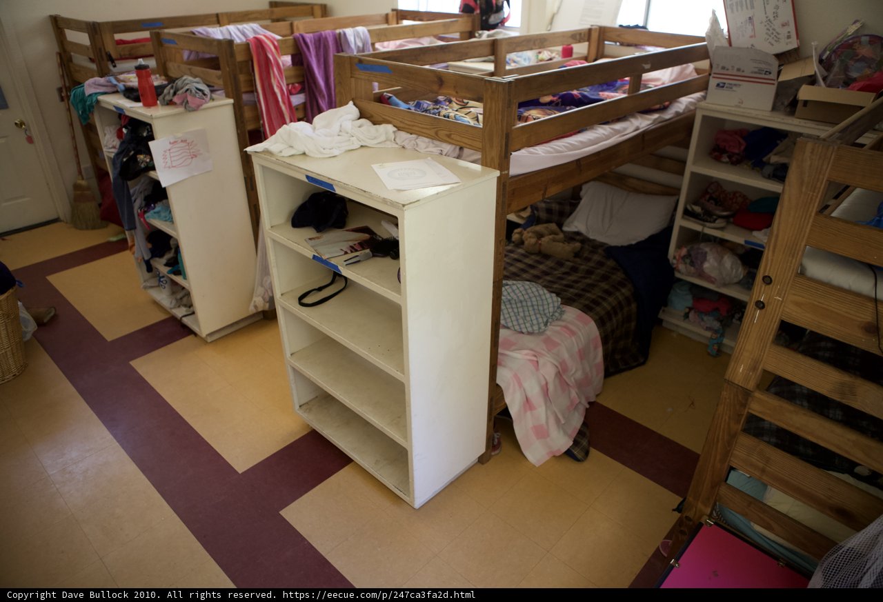 Bunk Bed Book Nook