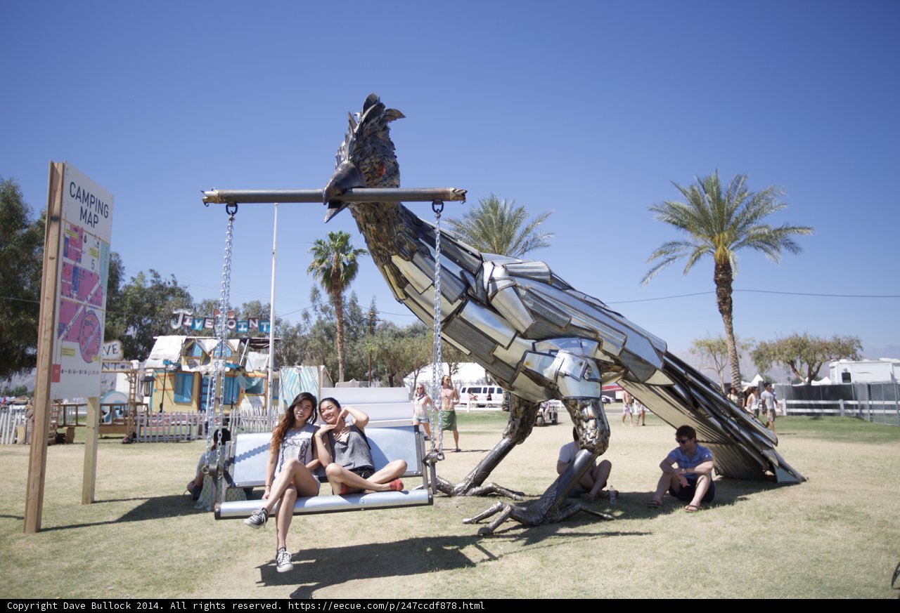 Swinging with Birds