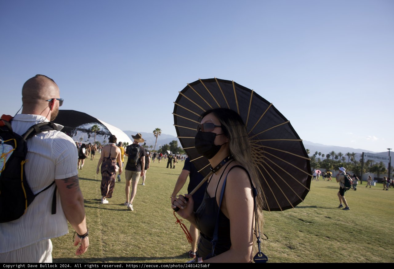 Shaded Sophistication at Coachella 2024