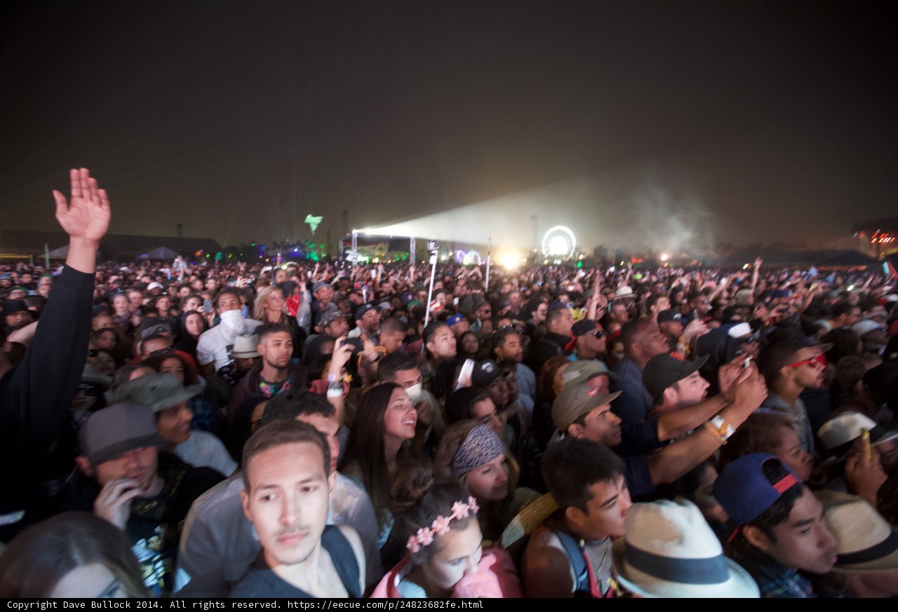 Night Sky Concert Crowd