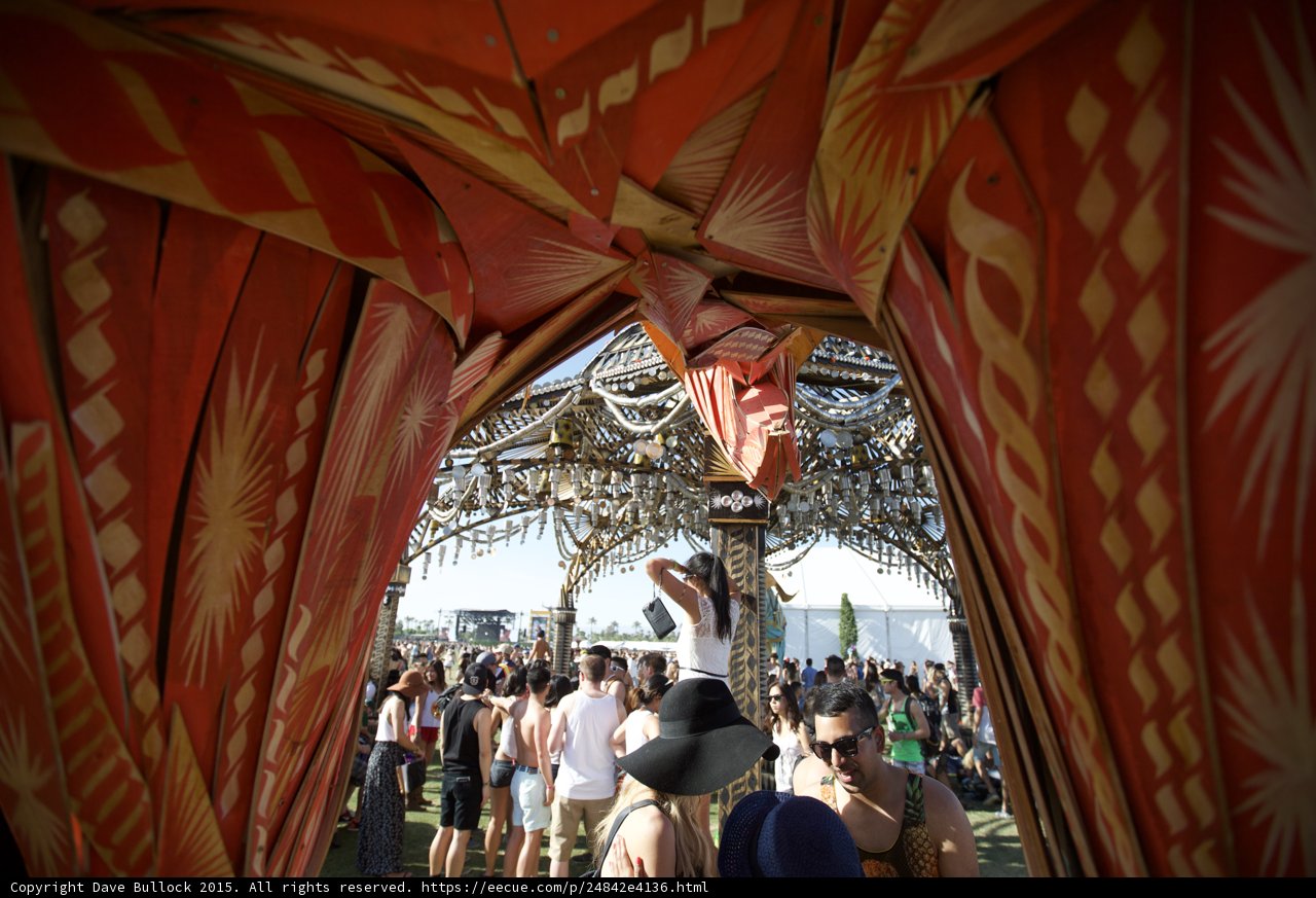 Through the Elephant's Eye