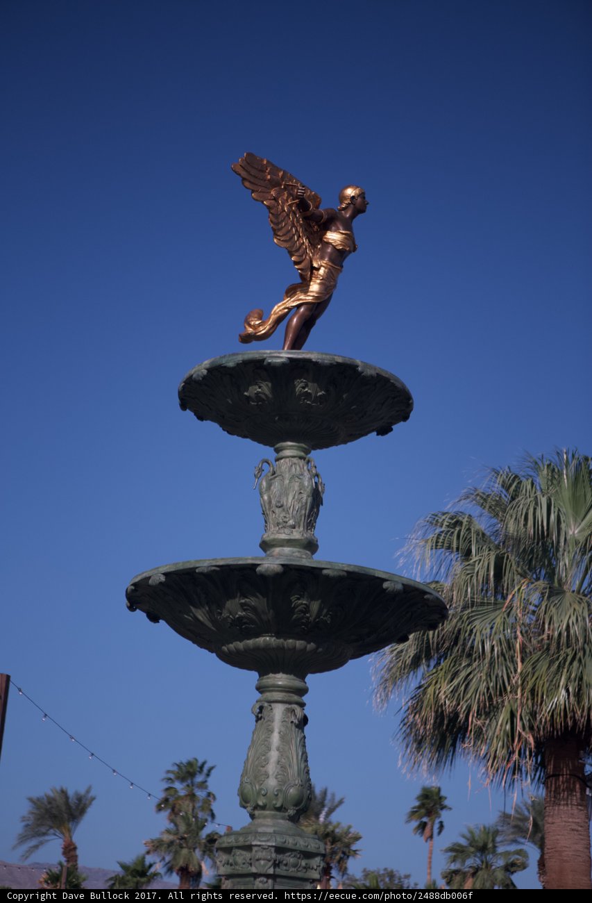 Flight of the Fountain Bird