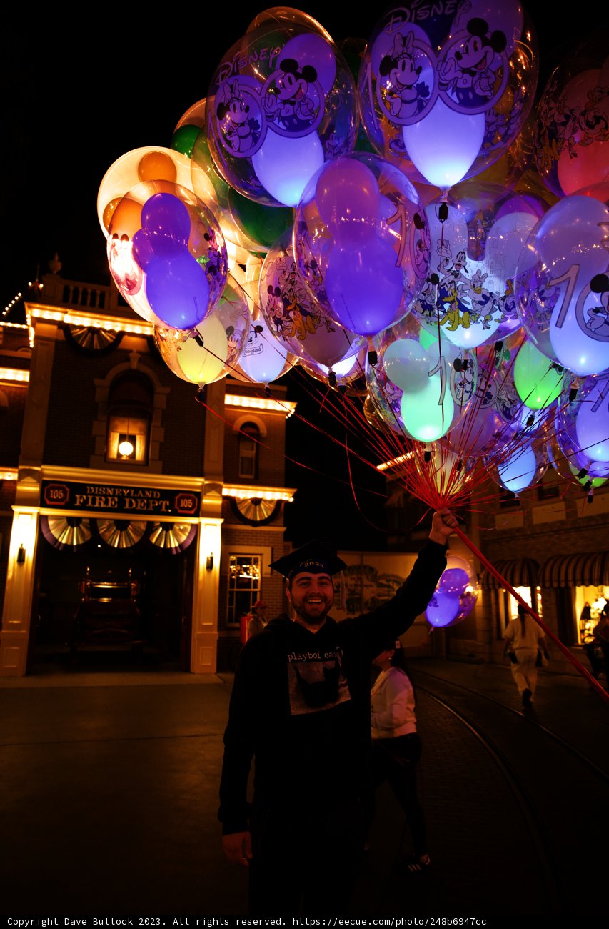 Magical Nights at Disneyland
