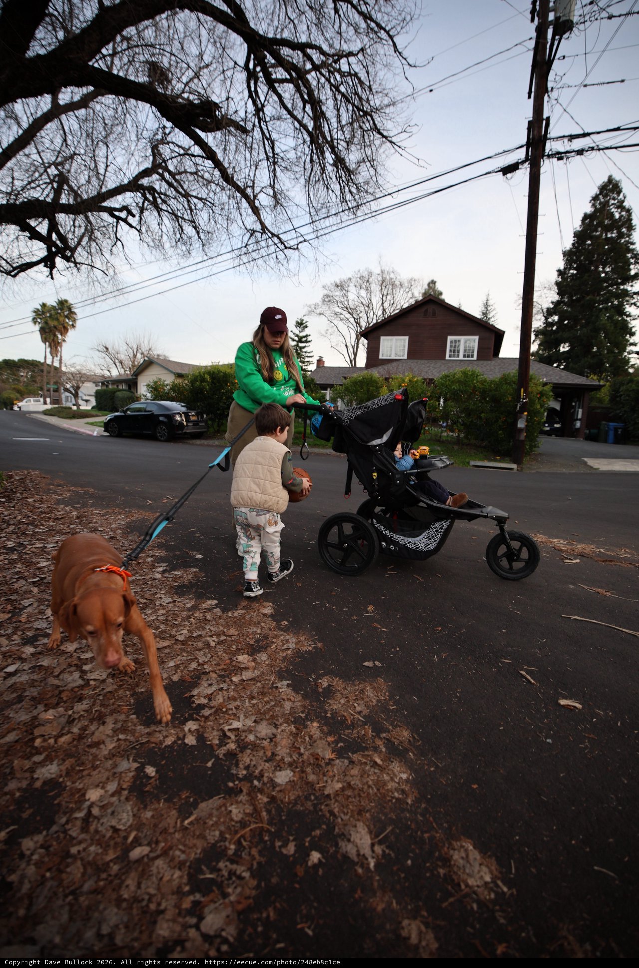 Family Evening Walk in Suburban Neighborhood