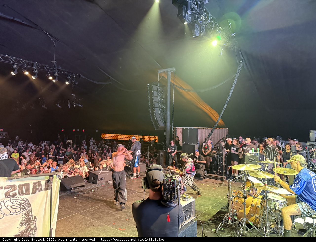 Rocking Under the Lights