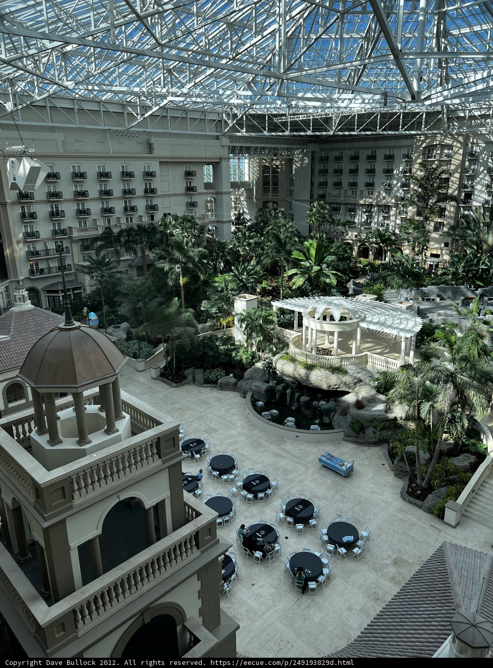 Urban Oasis