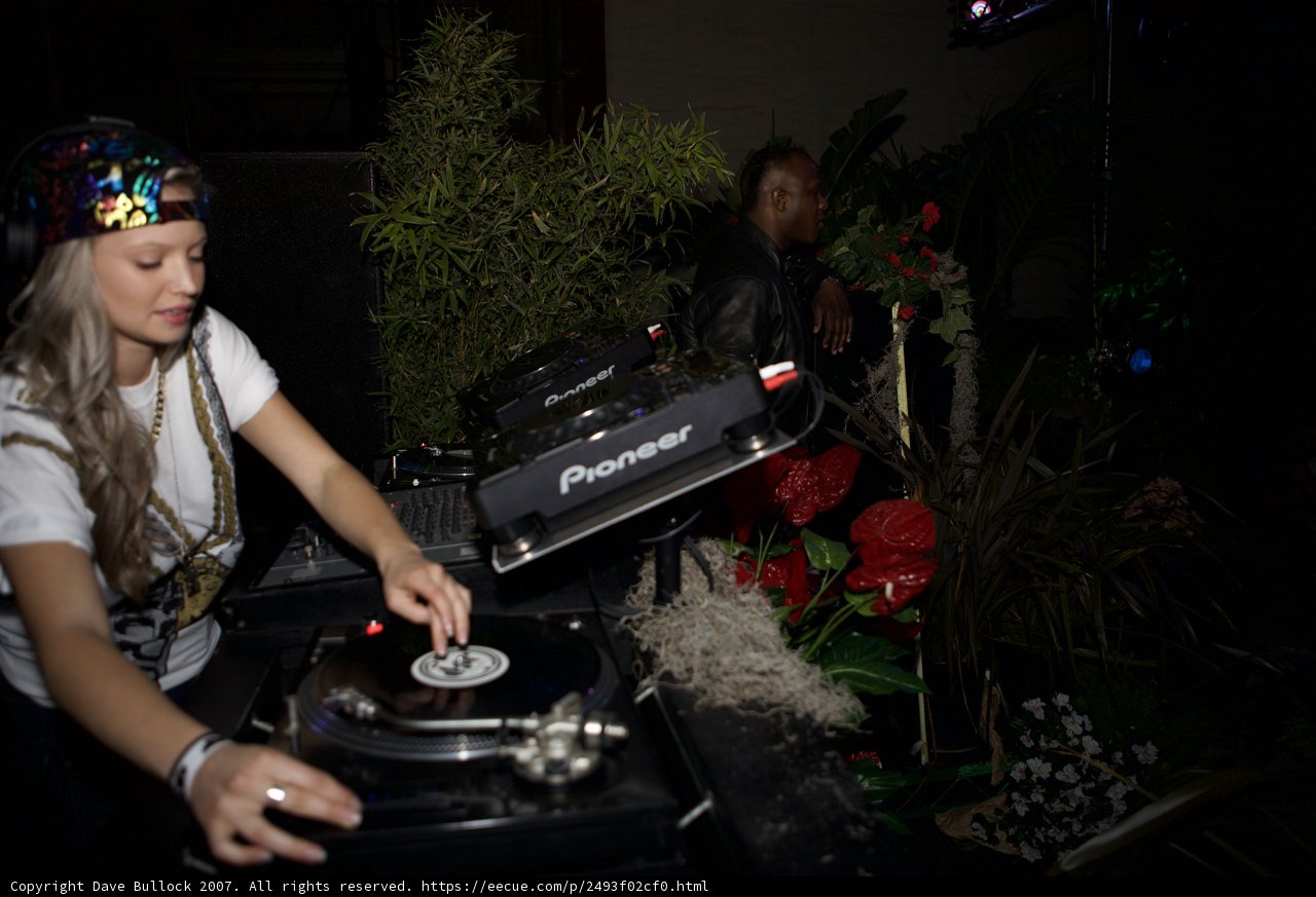 The Ultimate Party DJ