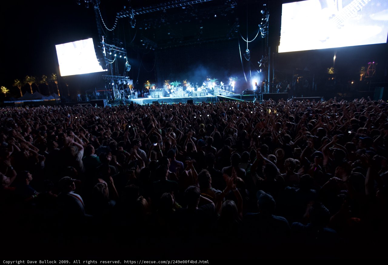 Rockin' with the Crowd