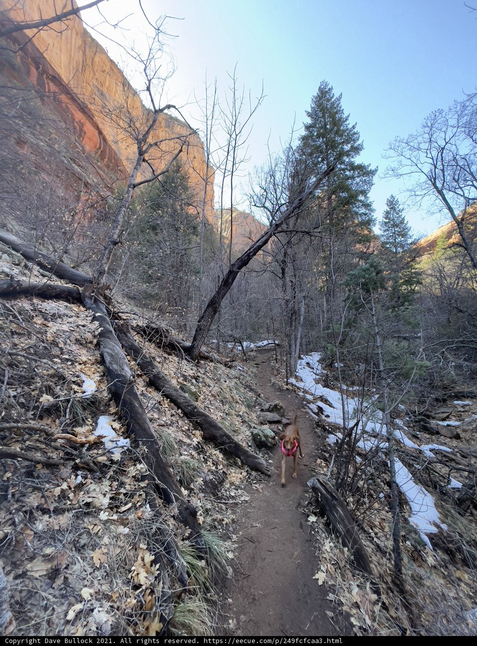 Walking Through the Serene Landscape