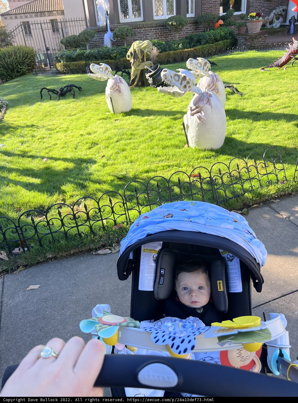 Sweet Baby and Serene Surroundings