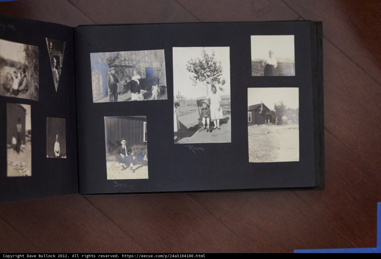 A Family Album of Art and Memories