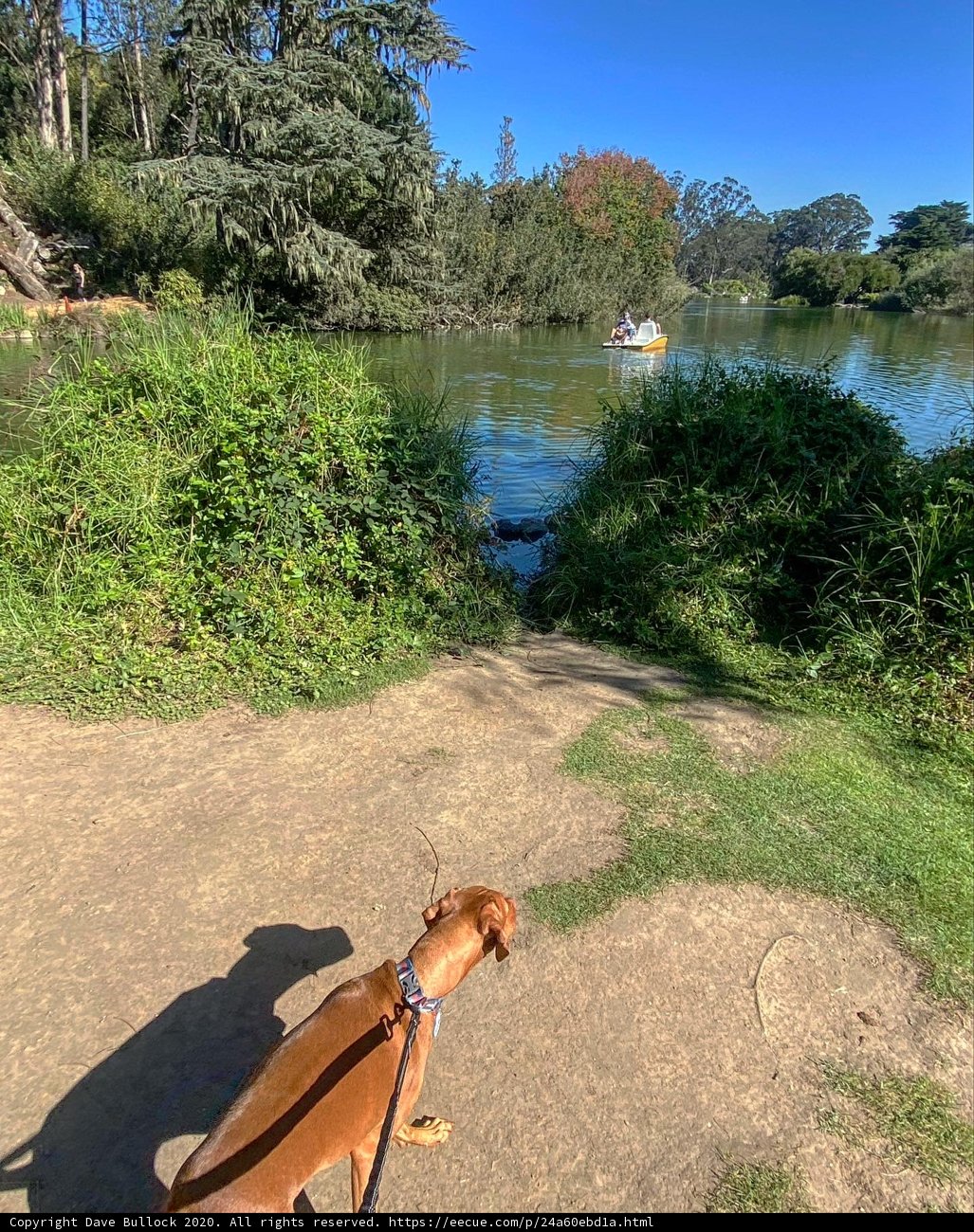 Scenic Stroll by the Lake