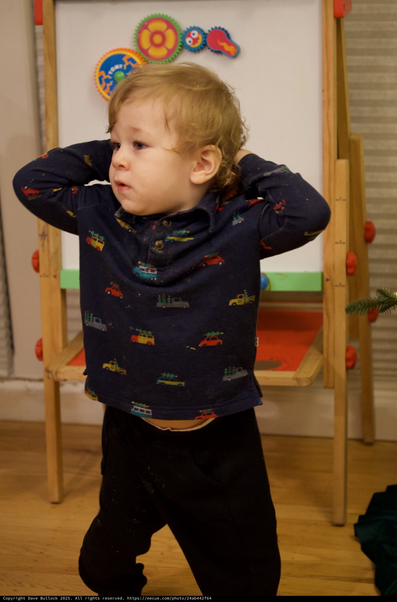 Young Child in Vehicle-Patterned Shirt at Play Area