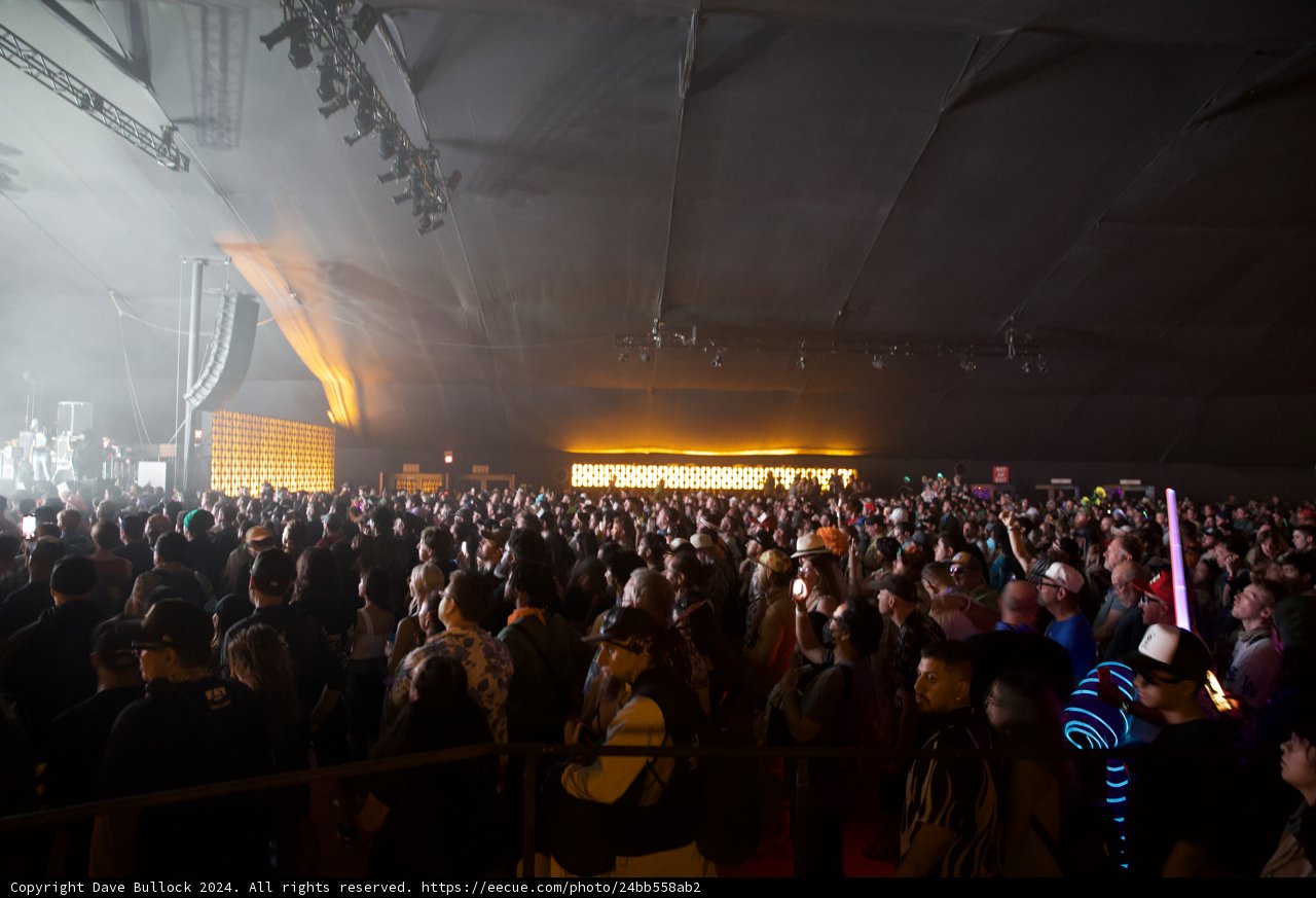 Electric Nights: Coachella 2024