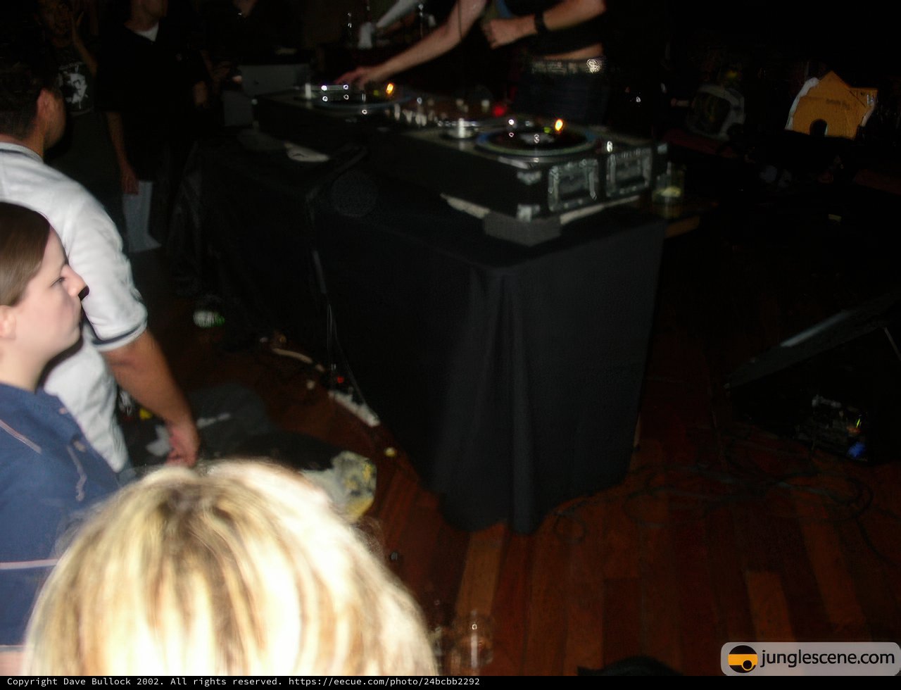 The Nightclub DJ