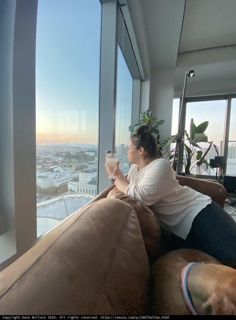 Pondering the View