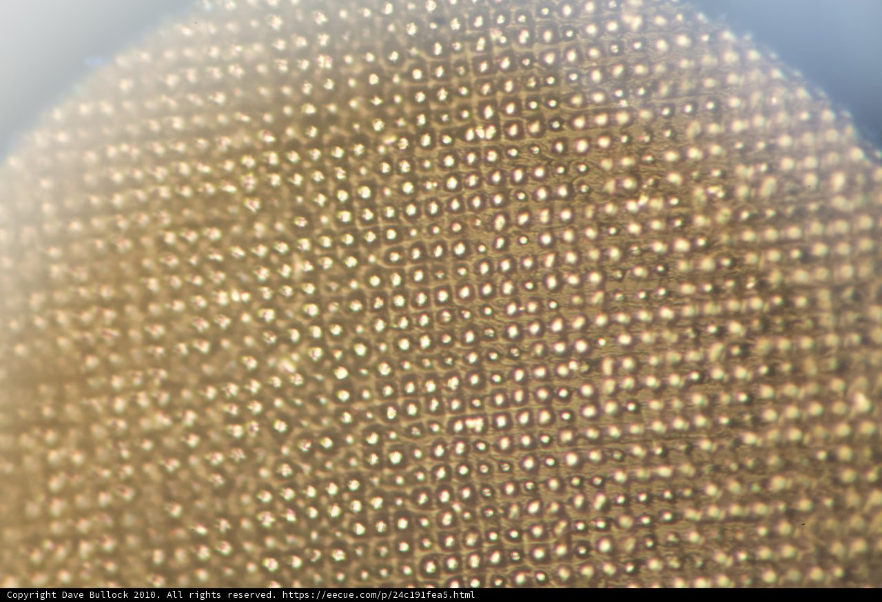 Golden Sphere with Intricate Linen Texture