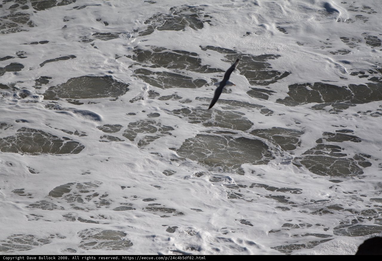 Flight over the Majestic Sea