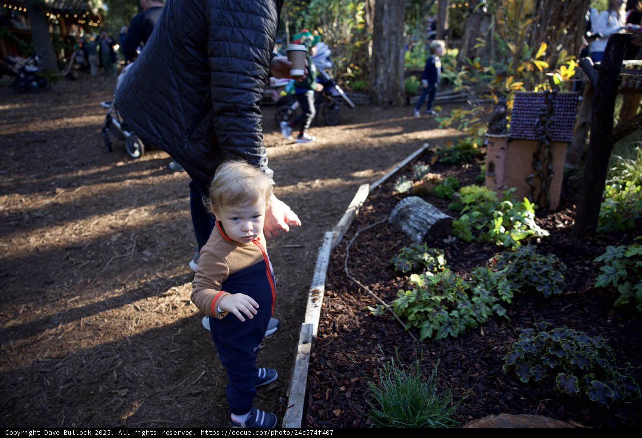 A Stroll Through Thistlewyck's Enchanted Garden