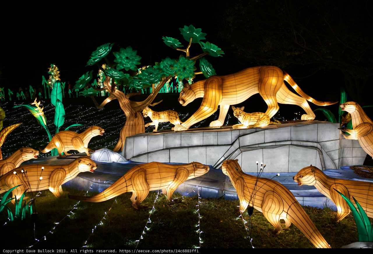 Illuminated Wilderness at the Glowfari 2023, Oakland Zoo