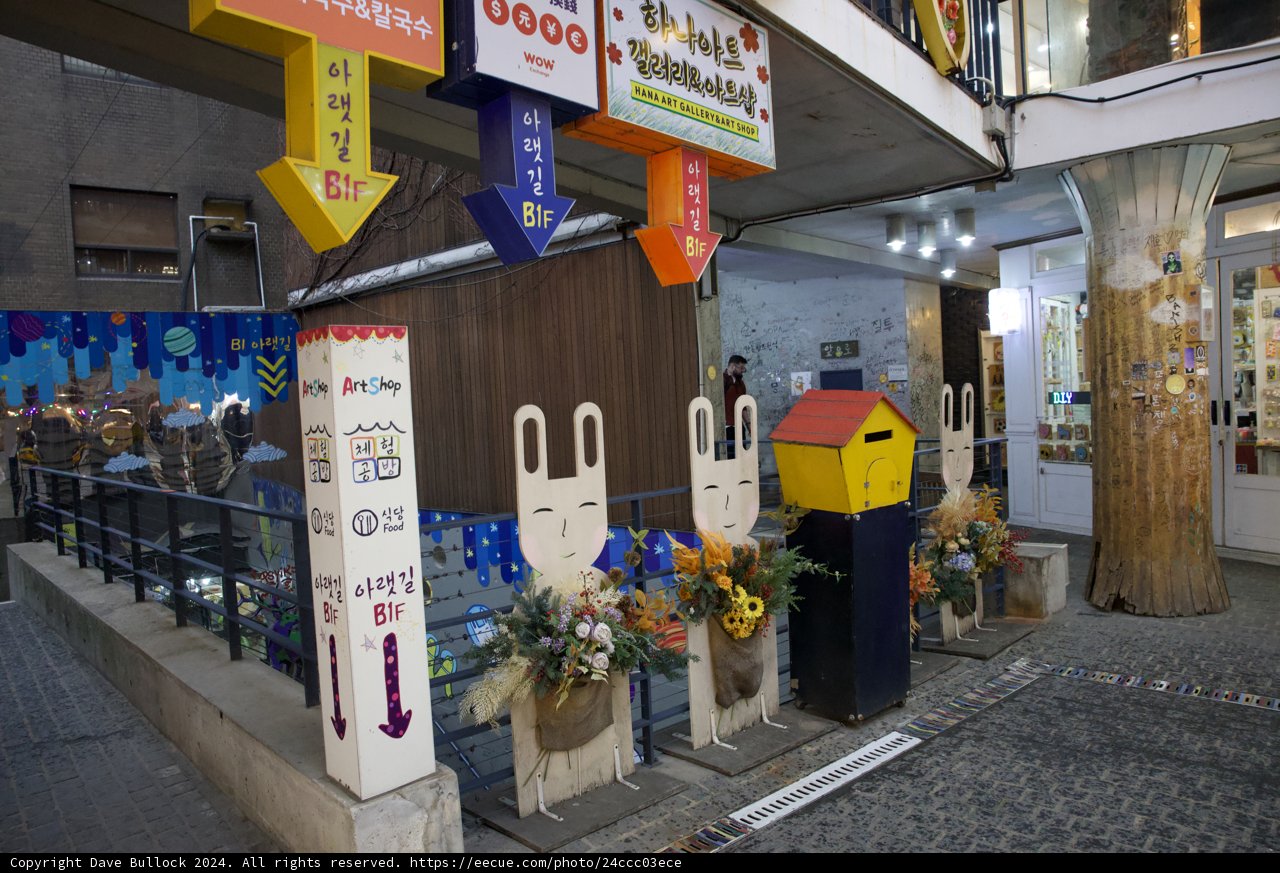 Colorful Extravaganza: Korea Street Charm