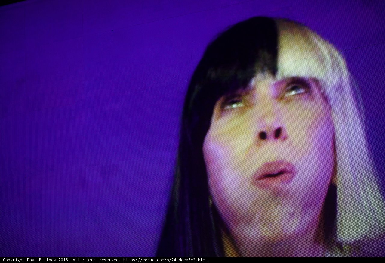 Chameleon Woman