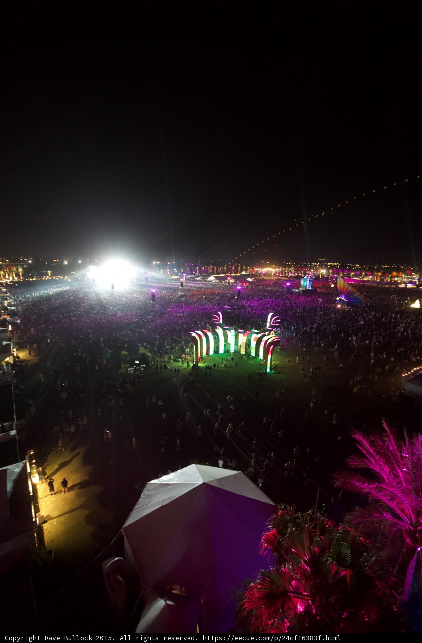 Purple Night Crowd
