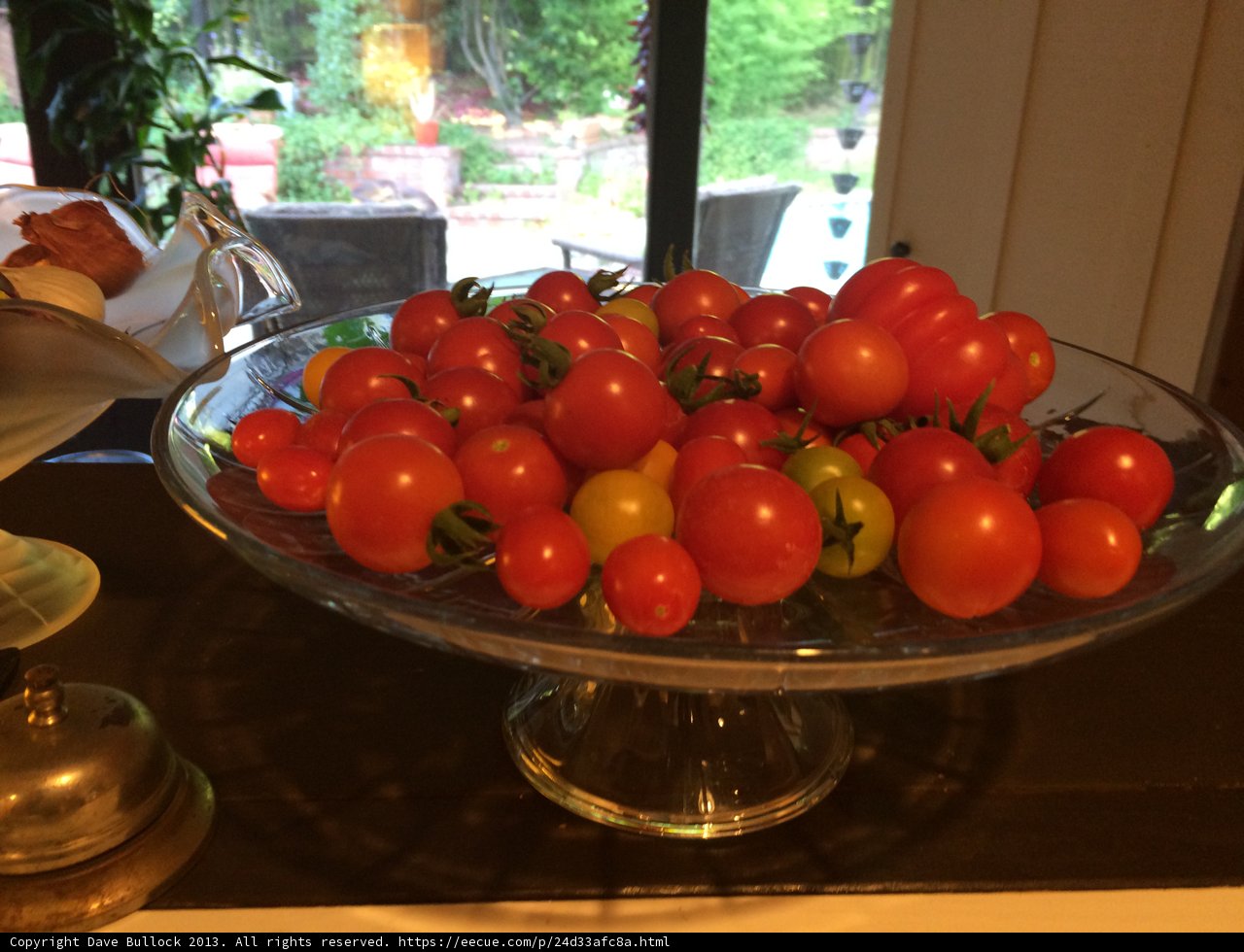 Fresh Tomatoes on Display