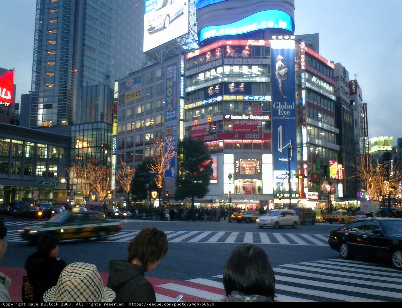 Busy Intersection in Tokyo's Metropolis