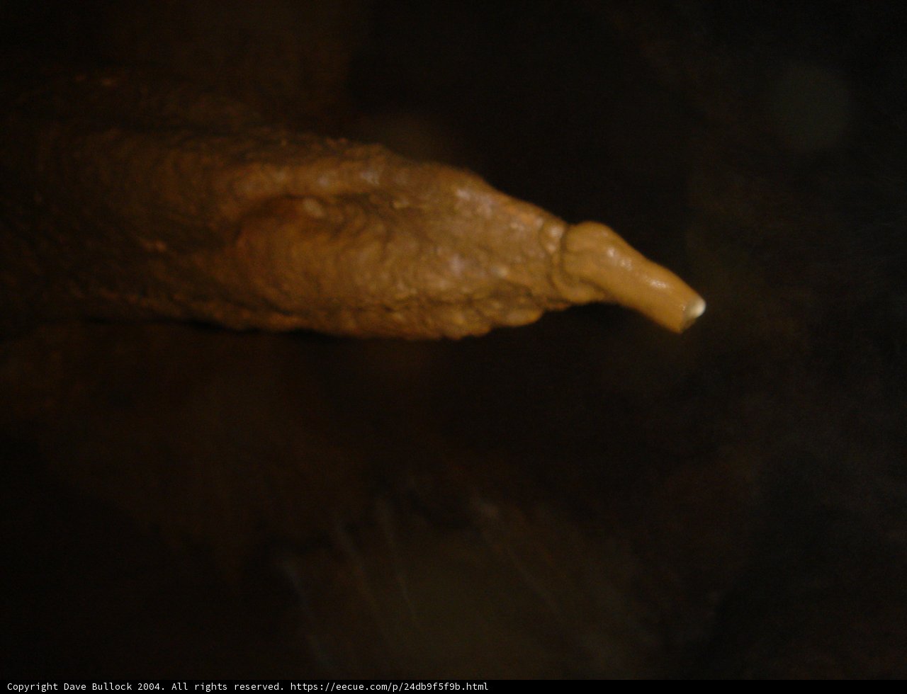 Exploring the Mysteries of the Cave