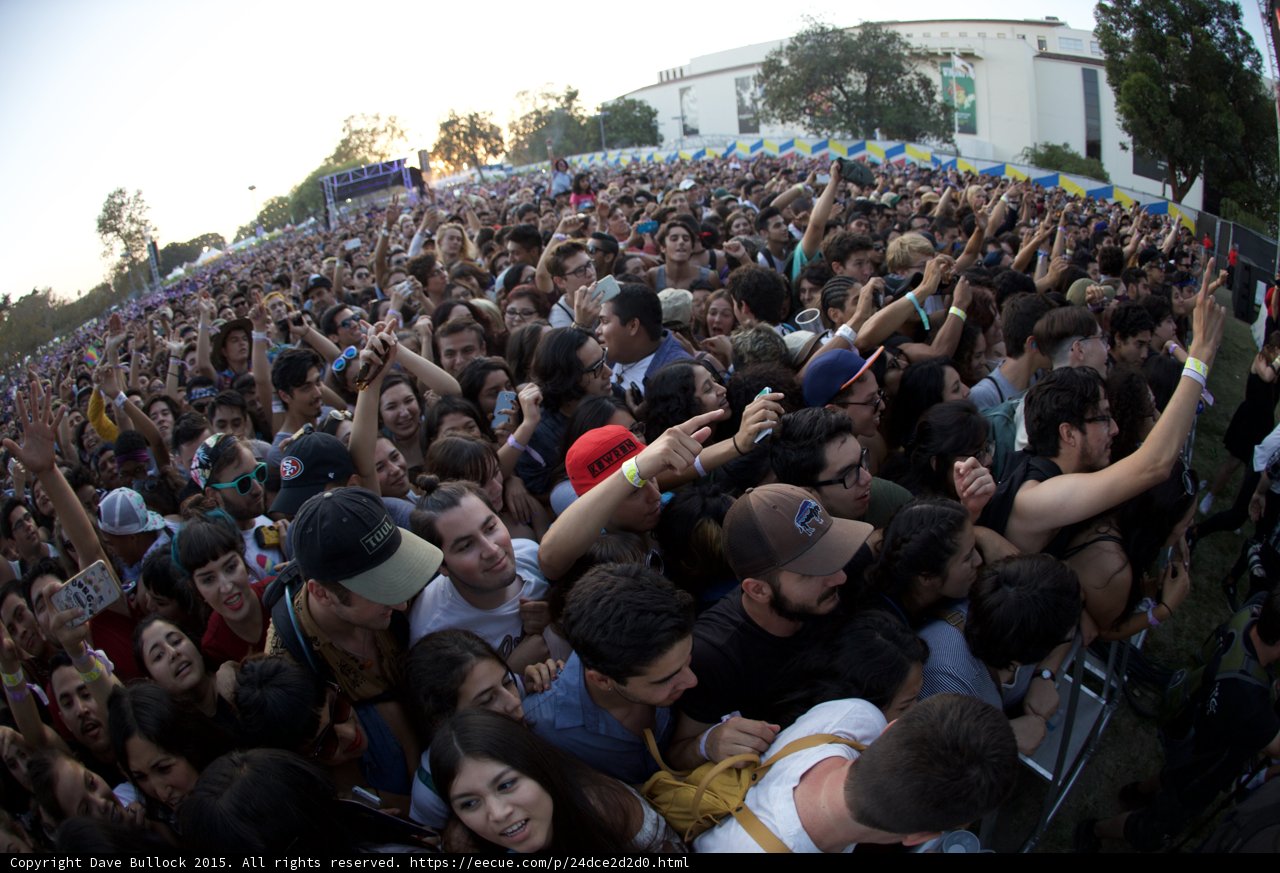 Intimate Crowd View
