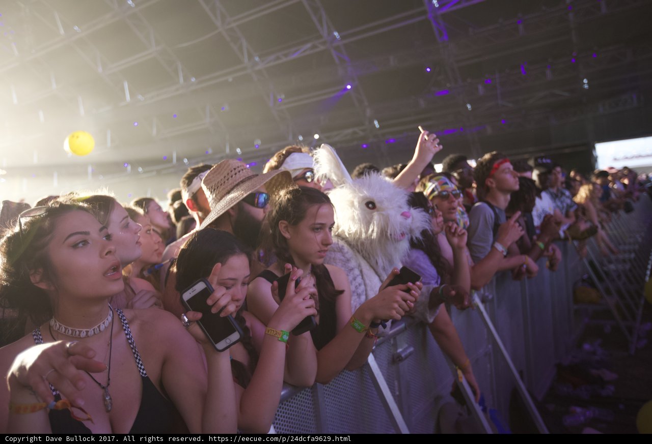 Bunny in the Crowd