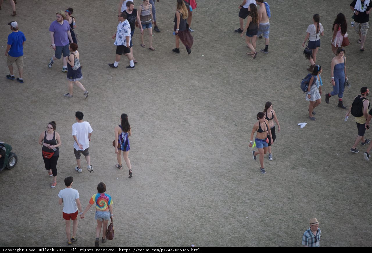 A Walk in the Coachella Fields