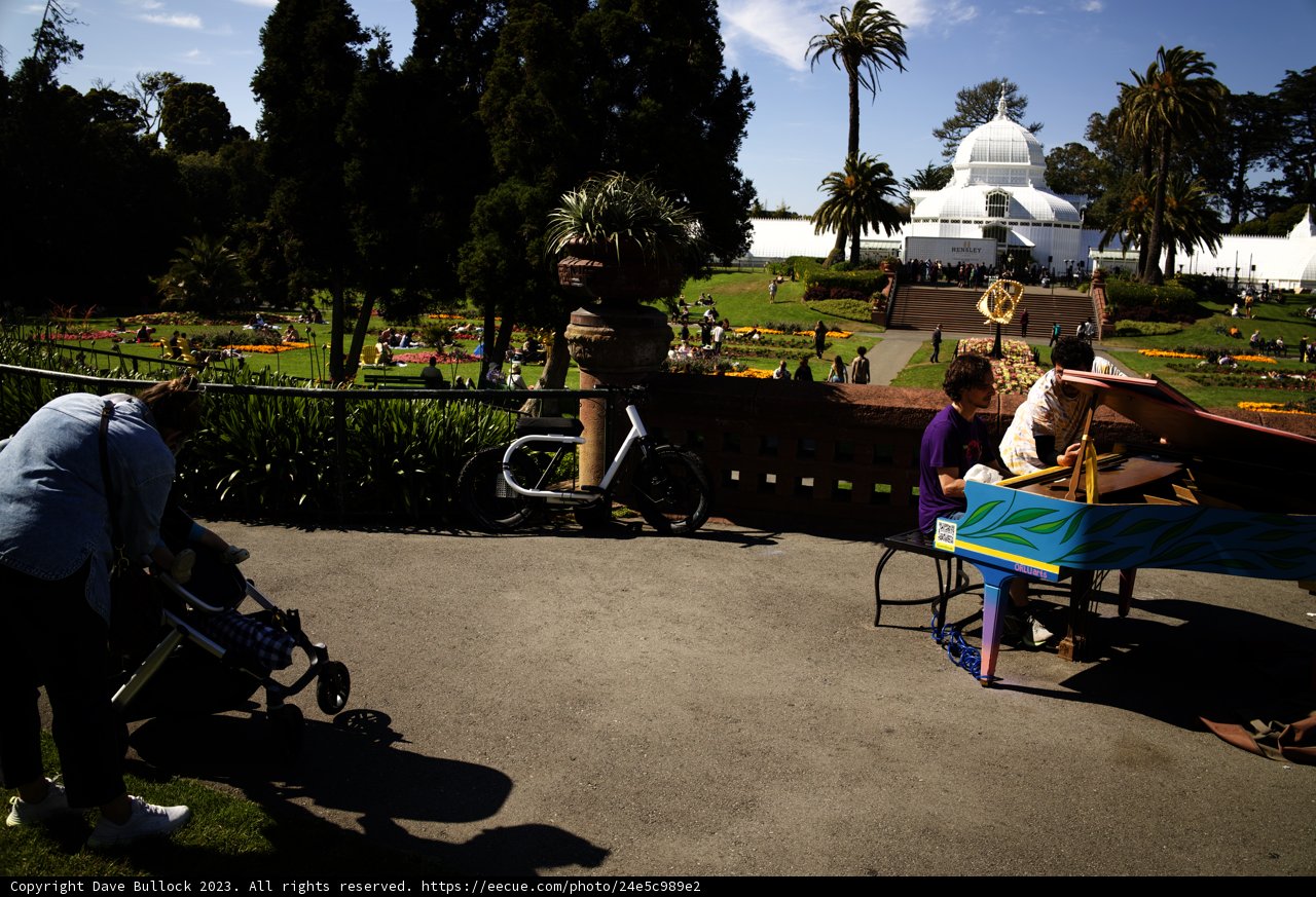 Summer Serenade: A Piano Performance in the Park