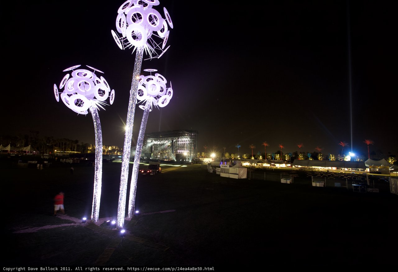 Illuminated Garden at Night